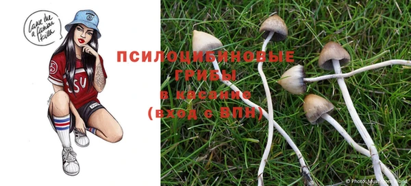 скорость Алзамай