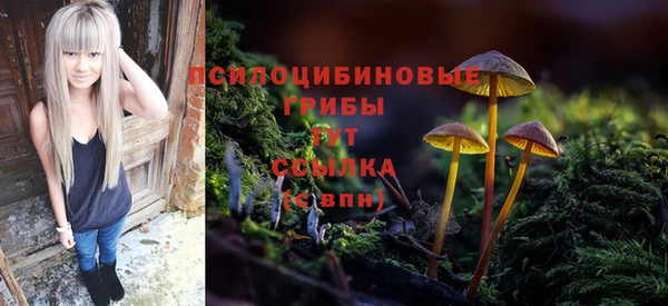герыч Алексин