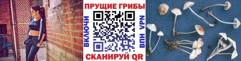 Псилоцибиновые грибы мухоморы  Солигалич 